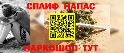 прущие грибы Будённовск