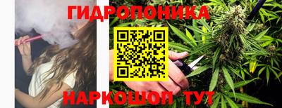 прущие грибы Будённовск